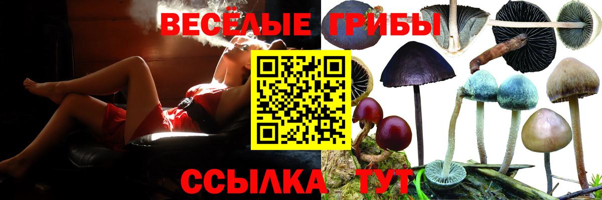 Галлюциногенные грибы мухоморы Томск