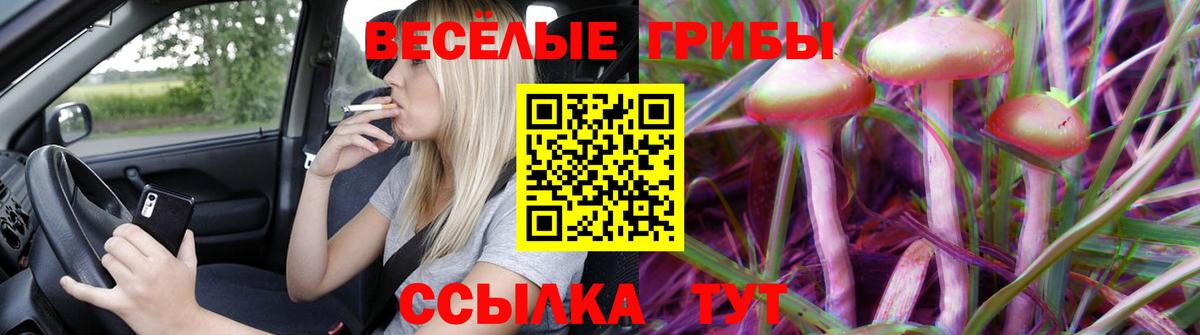 Томск  Псилоцибиновые грибы Magic Shrooms  где купить наркоту  Вход с VPN 
